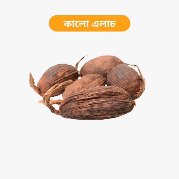 Spice Combo- 4 (Jeera- 100g, Elachi- 100g, Joyfal- 100g, Jayatri- 100g, Star Masala- 100g) - Image 4